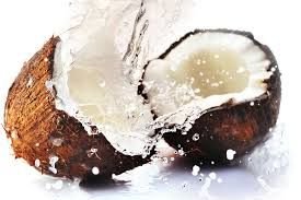 Fresh Coconut 02
