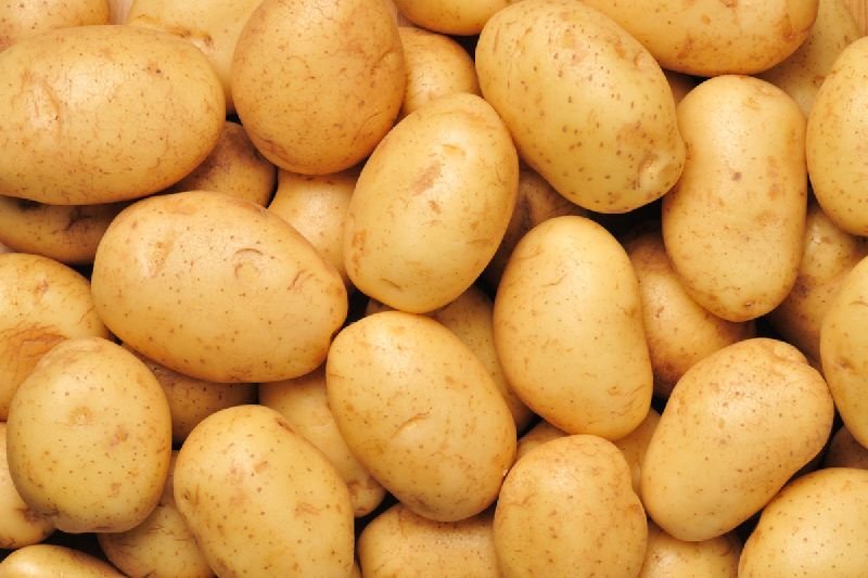Fresh Potato 01