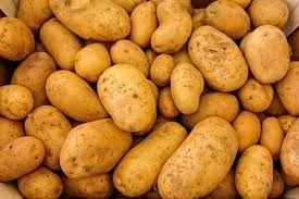 Fresh Potato 02