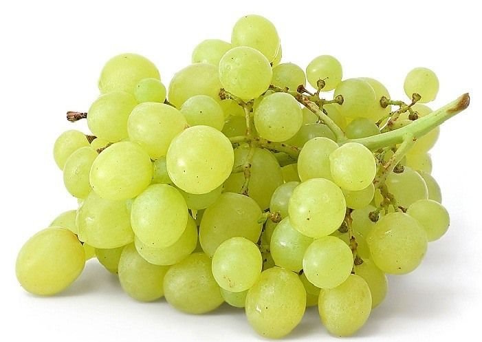Fresh Grapes 02