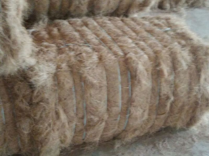 Coir Fibre 03