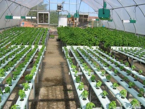 Greenhouse & Net House Structure 01