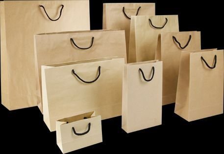 Brown Paper Shopping Bag 01