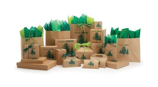Brown Paper Shopping Bag 03