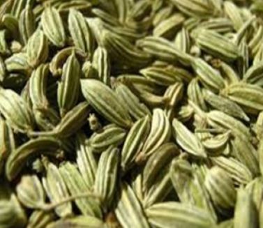 Fennel Seeds 01