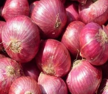 Fresh Red Onion 01