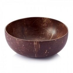 Coconut Shell Bowl 01