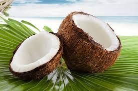 Fresh Coconut 01