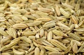 Fennel Seed 02