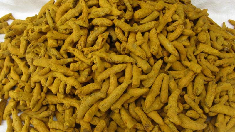 Turmeric Finger 02