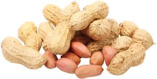 Shelled Groundnut 02