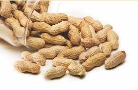 Shelled Groundnut 03