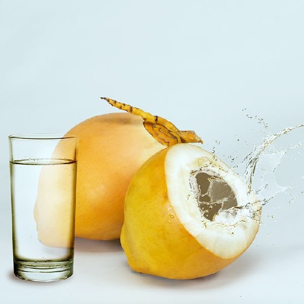 King Coconut 01