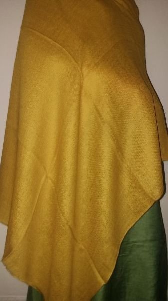 Pashmina Stole 03