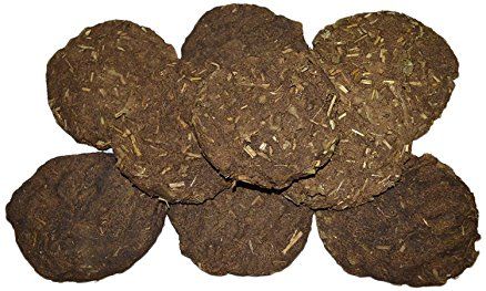Cow Dung Cake 01