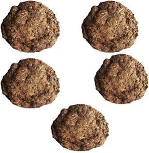 Cow Dung Cake 03
