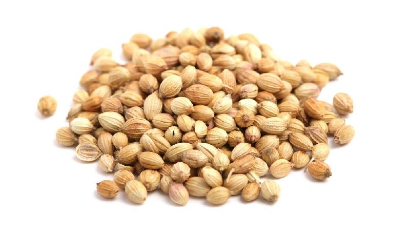 Coriander Seeds 01