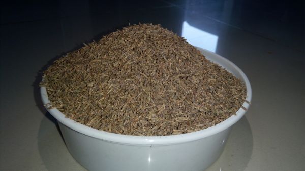 Cumin Seed 01