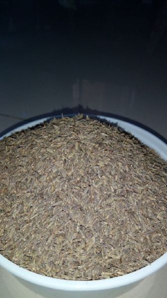 Cumin Seed 03