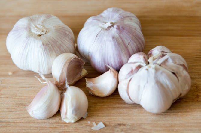 Fresh Garlic 01