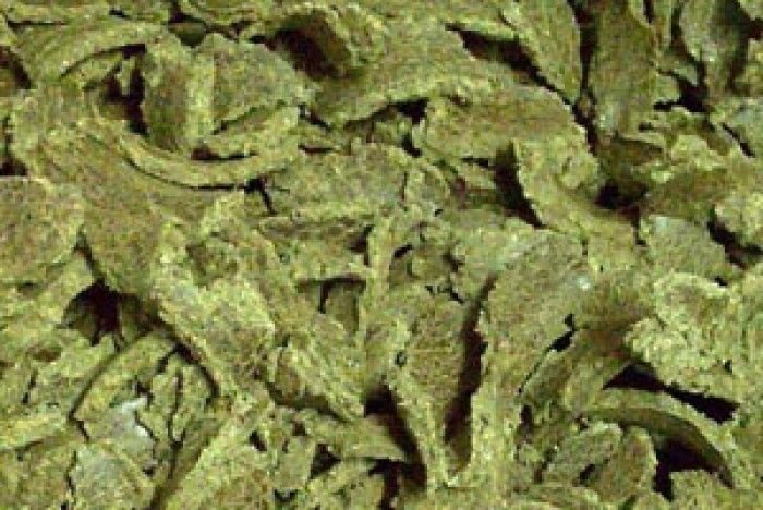 Cotton Seed Oil Cake 02