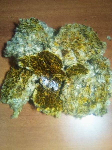 Cotton Seed Oil Cake 05