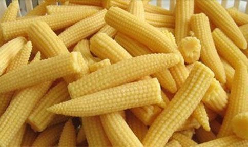 Fresh Baby Corn 01