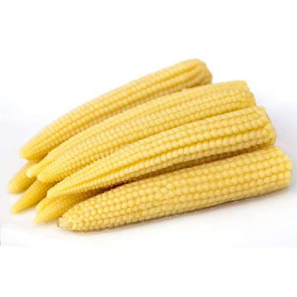 Fresh Baby Corn 02