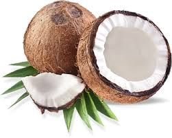 Fresh Coconut 01