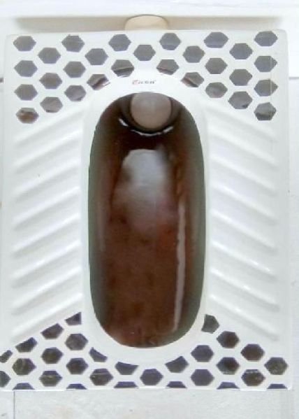Coffie Brown Ladies Urinal