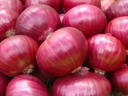 Fresh Onion 05