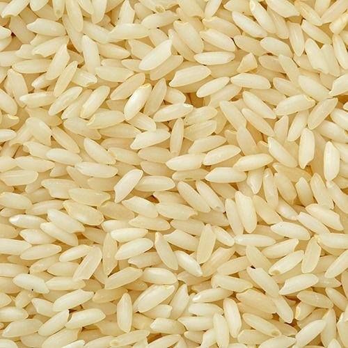 Rice 03