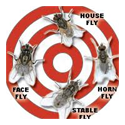 Fly Bugs Control Services 04