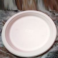Biodegradable Paper Plates  01