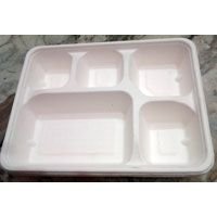 Biodegradable Paper Plates 02