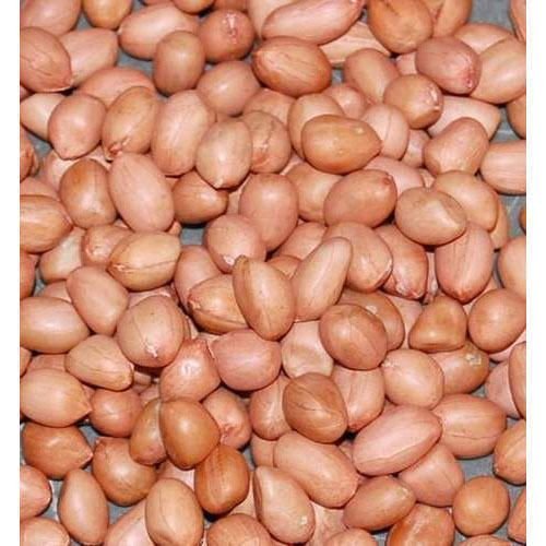 Groundnut Kernels