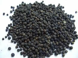 Black Pepper Seeds 04