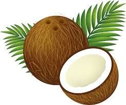 Fresh Coconut 03