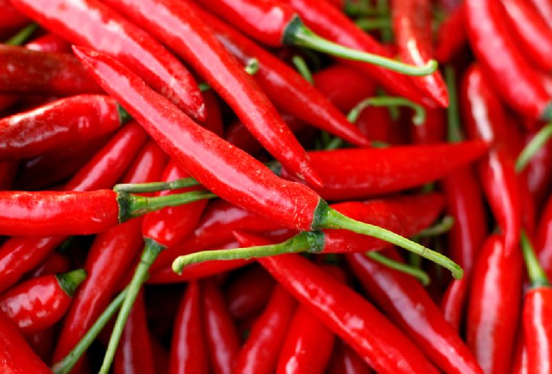 Fresh Red Chilli 02