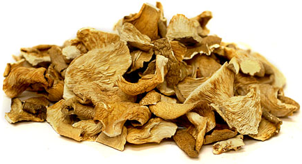 Dried Oyster Mushroom 01