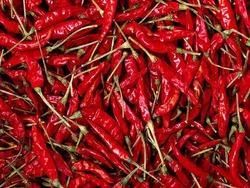 Dry Red Chilli 02
