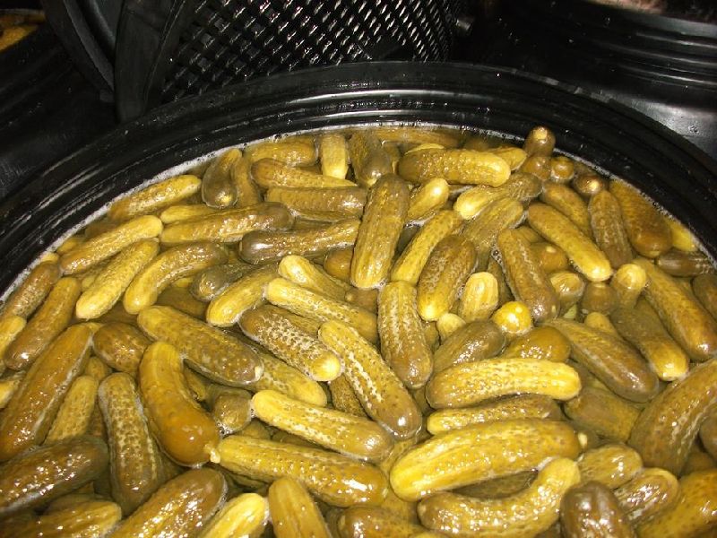 Pickled Gherkin 01
