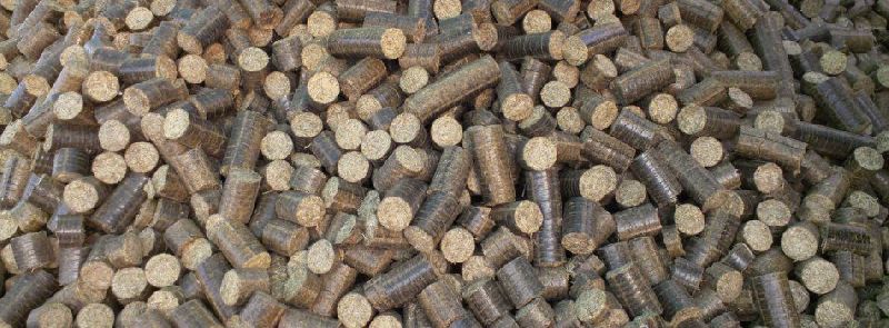 Bio Coal Briquettes 03