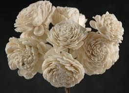 Fresh Sola Flowers 01