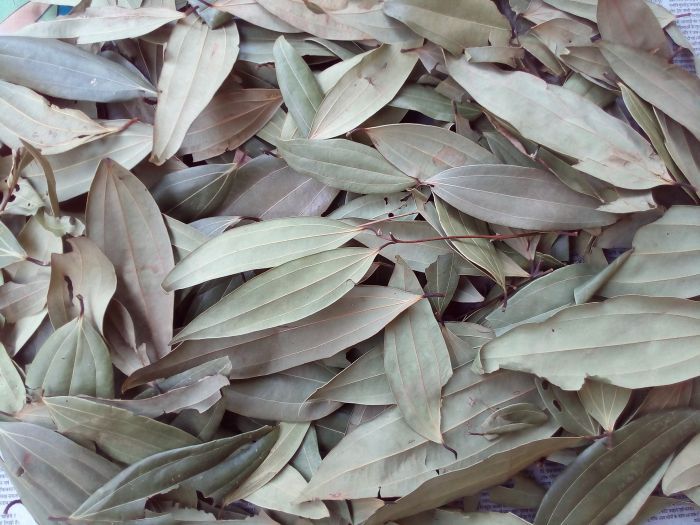 Bay Leaves 02