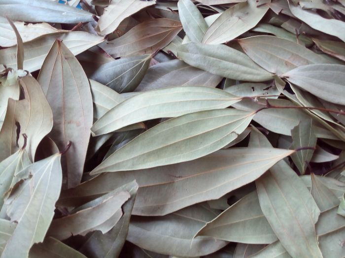 Bay Leaves 03
