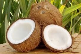 Fresh Coconut 04