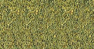 Green Millet Seeds 01