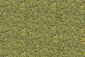Green Millet Seeds 02