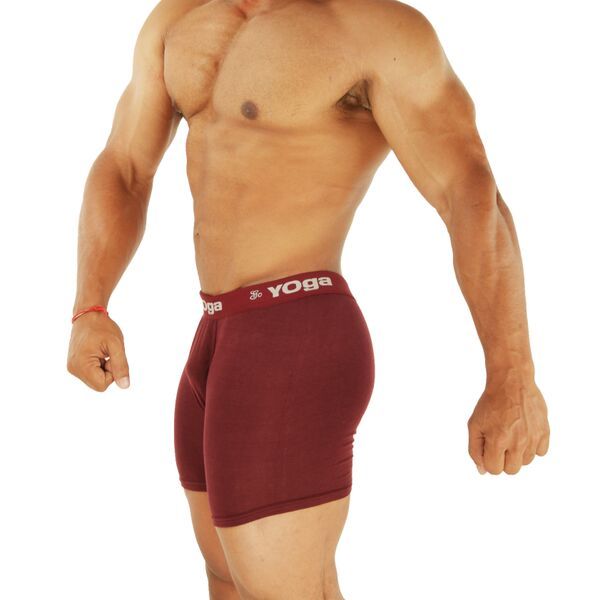 Mens Trunk Underwear 02